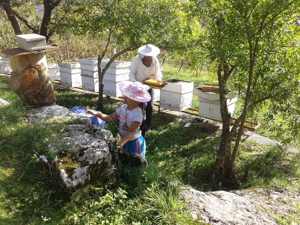 Village House - Novak Rijecani Rijeka Crnojevića Buitenkant foto